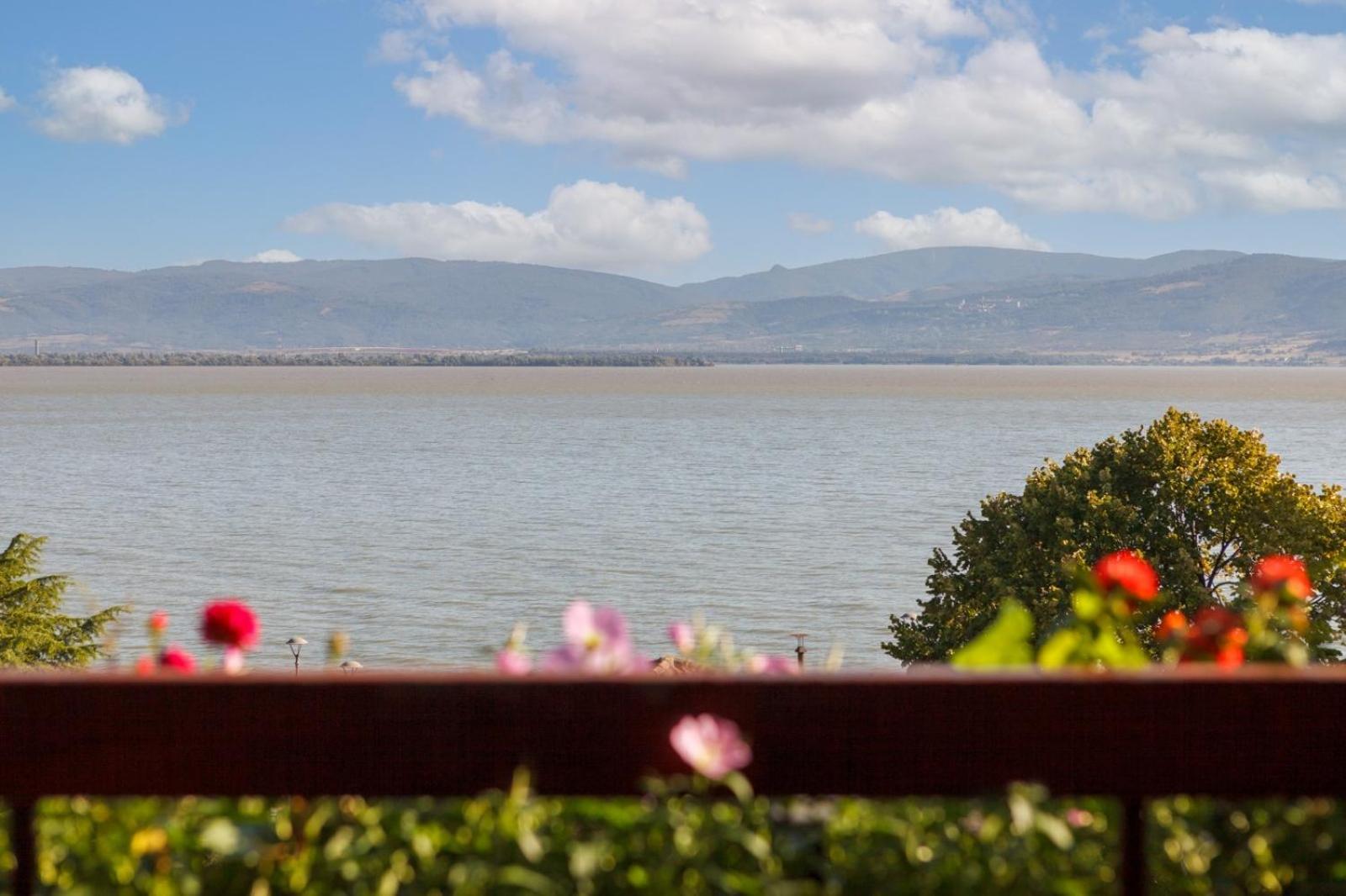 Apartment Amore Mio Golubac Exterior photo